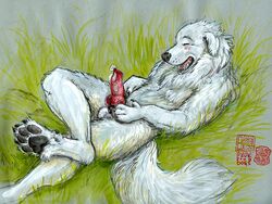 anthro canine cum canine java knot masturbation on_back penis tail