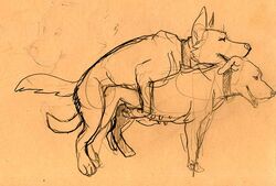 canine canine doggy_style doggy_style female feral from_behind java male penetration sketch straight vaginal_penetration vaginal_penetration