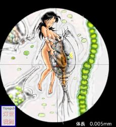 1animal 1girls copepoda extreme_micro gore guro looking_through_microscope micro_female micro_on_macro micro_organism_(organism) microscope microscopic minigirl nipples peril shrunken_woman toyogub vore zoom