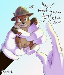 absurd_res anthro balls bottomless chip_(disney) chipmunk clothed clothing disney genitals ground_squirrel hat headgear headwear hi_res holding_character kcnite male mammal penis rodent sciurid size_difference