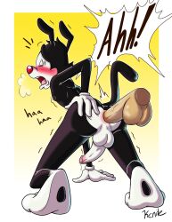 1boy anal anal_sex animaniacs anthro balls blush disembodied_penis genitals hi_res humanoid_genitalia humanoid_penis kcnite male male/male mammal penetration penis warner_brothers yakko_warner