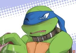 gay handjob leo leonardo leonardo_(2012) leonardo_(tmnt) nickelodeon non-human nsfw teenage_mutant_ninja_turtles teenage_mutant_ninja_turtles_(2012) tmnt tmnt_2012 yaoi