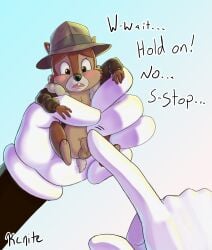 absurd_res anthro balls blush bottomless chip_(disney) chipmunk clothed clothing disney erection genitals ground_squirrel hat headgear headwear hi_res holding_character kcnite male mammal penis rodent sciurid touching_penis