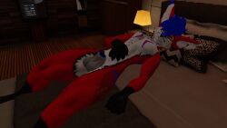 animal_genitalia animal_genitals animal_penis anthro anthro_only blue_hair blue_penis canine_genitalia canine_genitals canine_penis fox fur furry furry_only male male_only penis rain_jur red_fox red_fur rexouium tagme twitter url vr_media vrchat vulpine white_belly