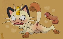 anthro anus balls balls_blush blush bodily_fluids body_blush bruised disembodied_penis duo erection forced fur generation_1_pokemon genital_fluids genitals hi_res imminent_rape imminent_sex interspecies male male/male meowth nintendo penis pokemon pokemon_(species) pokephilia precum questionable_consent raised_tail rape saliva size_difference spread_legs spreading sweat sweatdrop tail tan_body tan_fur tears vein veiny_penis yaldabroth