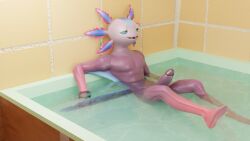 16:9 3d 3d_(artwork) 3d_background amphibian anthro axo_(fortnite) axolotl digital_media_(artwork) epic_games erection fortnite genitals hi_res male mammal marine mole_salamander nude orangeflyingfox penis pink_body salamander_(amphibian) simple_background smile solo widescreen