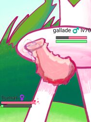 gallade galladexd habalirojo penis pokemon pokemon_(species) pokemon_gsc pokemon_xy