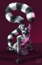 2015 anthro arm_tuft black_hair blue_eyes cheek_tuft chest_tuft closed_smile dated erection facial_tuft fur genitals glistening glistening_eyes grey_body grey_fur grey_tail hair hi_res humanoid_genitalia humanoid_penis kneeling lemur long_tail looking_at_viewer male male_only mammal markings mouth_closed nude penis primate short_hair shoulder_tuft smile solo strepsirrhine striped_markings striped_tail stripes tail tail_markings tuft white_body white_fur white_tail yookie