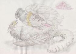 2011 augur_buzzard avian claws eagle feline feral frottage gay gryphon harpy_eagle hindpaw male penis snow_leopard talons windpaw