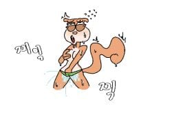 female furry masturbation nickelodeon sandy_cheeks spongebob_squarepants squirrel