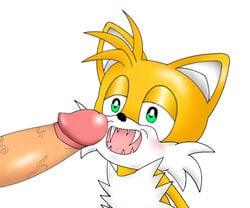 anthro canine fangs fox male_only ouch penis sonic_(series) tails