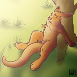 2015 anthro dated fur grass green_eyes kangaroo looking_at_viewer macropod male mammal marsupial mouth_closed nude orange_body orange_ears orange_fur outside plant sitting solo tan_body tan_fur tree yookie