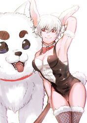 1girls alternate_costume arm_up armband armpit black_leotard bowtie bunny_ears bunny_girl bunny_tail bunnysuit canon_genderswap cleavage detached_collar domestic_dog female female_focus fishnet_thighhighs fishnets fur_trim genderswap_(mtf) ginko_sakata gintama gintoki_sakata kemonomimi leotard looking_at_another medium_breasts moromoro10101 playboy_bunny rabbit_ears red_eyes rule_63 sadaharu short_hair smile solo_focus thigh_gap thighhighs very_short_hair white_hair