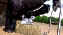 3d 3d_(artwork) ass ass_up assuming_position big_ass big_balls big_penis black_body black_fur black_hair black_penis cock_ring curvy equid equine_penis erect_penis erection flared_penis hay_bale horse horse_penis horsecock hot_dogging huge_balls huge_breasts huge_cock hyper hyper_balls hyper_penis it'll_never_fit large_ass penis penis_on_ass presenting presenting_hindquarters rivaliant sagging_balls shortstack size_difference texas_(rivaliant) thick_thighs thighs white_silk zoophilia