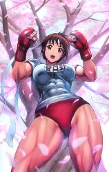 1girls abs abs_visible_through_clothing absurd_res alternate_costume athletic_female bloomers breasts brown_eyes brown_hair buruma capcom cherry_blossoms cowboy_shot curvy_thighs cute_face edit edited female_only fit fit_female gloves gym_uniform happy happy_female headband high_resolution highres looking_down medium_breasts muscular muscular_female muscular_legs muscular_thighs open_mouth red_bloomers red_buruma red_gloves round_breasts sakura_kasugano shopyun short_hair short_sleeves smile smiling solo solo_female street_fighter street_fighter_iv thick_thighs thighs thunder_thighs tomboy tree upscaled viewed_from_below white_headband white_shirt young