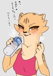 2020s 2021 akino_(kemokin_mania) blush breasts brown_eyes cheek_tuft cheetah chest_tuft claws elbow_tufts feline female female_only furry furry_only japanese_text kemokin_mania looking_at_viewer paws saliva saliva_string small_breasts sportswear spotted_body spotted_fur steamy_breath tongue water_bottle