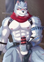 abs anthro balls blue_eyes blush bodily_fluids bottomwear bottomwear_aside canid canine canis clothing clothing_aside crave_saga erection fur genital_fluids genitals grey_body grey_fur hakuma_(crave_saga) hi_res loincloth loincloth_aside male mammal masturbation muscular muscular_anthro muscular_male nipples ortwin_rd pecs penis precum scarf solo wolf