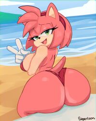 1girls amy_rose ass ass_focus back_view beach big_ass big_breasts bikini bikini_bottom bikini_top breasts clothing dat_ass detailed_background eyes_half_open female from_behind furry furry_female furry_only gloves green_eyes hair_ornament hairband half-closed_eyes lifh looking_at_viewer mobian_(species) open_mouth peace_sign pink_body pink_fur pink_skin sagextoon sega sitting skimpy smile solo solo_female sonic_(series) sonic_the_hedgehog_(series) thick_thighs v_sign