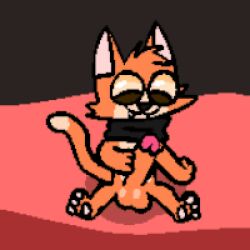 animated anthro balls brown_pupils domestic_cat felid feline felis foreskin fur genitals low_res male male/male mammal orange_body orange_fur paws penis pupils scarf solo tail thumbnail tinky