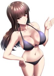 1girls belly belly_button big_breasts bikini bikini_bottom bikini_top breasts brown_hair cleavage collarbone female female_focus girls_und_panzer large_breasts light-skinned_female light_skin long_hair looking_at_viewer mature_female memotonoshiwatsubasa midriff milf nishizumi_shiho panties solo solo_female solo_focus