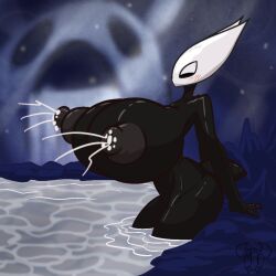 hornet (hollow knight) from hollow knight