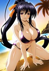 himejima akeno from high school dxd by duderu vanilla