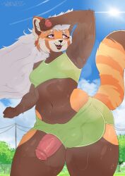 Booru post from rule34.xxx