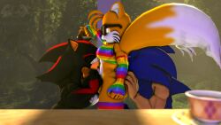 shadow the hedgehog from sega by angelic endowment