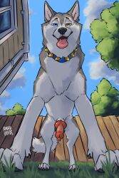 anvil (hakudoge) fan art