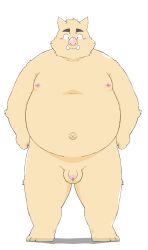 2020s 2023 anthro balls belly big_belly brown_body flaccid genitals ginsingoo1 hi_res kemono male mammal moobs navel nipples overweight overweight_male penis simple_background small_penis solo suid suina sus_(pig) white_background wild_boar