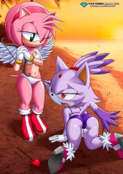 amy rose from sega by bbmbbf