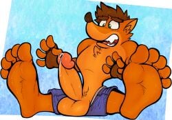 activision anthro anthro_only bandicoot barefoot bodily_fluids crash_(series) crash_bandicoot feet furry furry_male furry_only genital_fluids genitals hi_res male male_focus male_only mammal marsupial penis precum sebafox soles solo solo_male toes