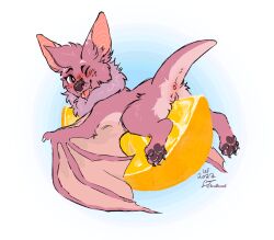 anthro anus bat female food fruit fruit_slice_(yurusa) fur genitals mammal membrane_(anatomy) membranous_wings orange_(fruit) pawpads pink_body pink_fur pink_tongue plant purple_eyes purple_pawpads pussy simple_background solo solomonfletcher tongue wings