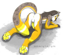 anthro ass balls bent_over c-r-s digital_media_(artwork) erection felid feline felis fur genitals hair hi_res humanoid_genitalia long_hair looking_at_viewer male mammal nude pantherine pawpads paws penis seraphimkitsune simple_background smile snow_leopard solo