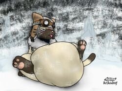 belly crotch crotch_belly feline feline snow tagme vore