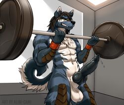 abs alibi-cami anthro blue_body blue_fur bodily_fluids canid canine clenched_teeth erection exercise fur knot male mammal muscular rowan_(rowanwuff) solo sweat teeth weightlifting workout wristband yellow_sclera