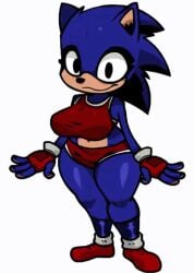 1girls animated big_ass big_breasts bouncing_breasts exe_(revie) faker_(revie) female fnf fnf_mod fnf_mods friday_night_funkin friday_night_funkin_mod gloves hedgehogs_slutty_collection horaco hourglass_figure midriff mobian_(species) rule_63 sega sonia.sex sonic.exe sonic.exe_(series) sonic_(series) sonic_the_hedgehog_(series) thehoraco