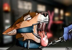 anthro bodily_fluids canid canine canis chain_leash chained chains collar cum cum_in_mouth cum_inside cum_on_face dental_gag duo gag gagged genital_fluids hi_res leash leash_pull leather male mammal narrowed_eyes open_mouth pleaxwolf solo wolf