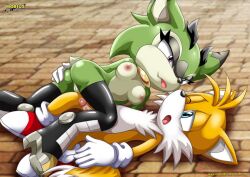 archie_comics bbmbbf clove_the_pronghorn furry_only mobian_(species) mobius_unleashed palcomix sega sonic_(series) sonic_the_hedgehog_(archie) sonic_the_hedgehog_(series) tails