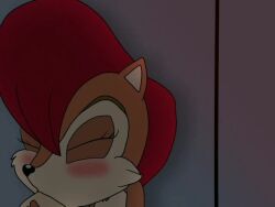 2d animated anthro blowjob blue_eyes blush brown_hair caught chipmunk cock_hungry color faceless_male fellatio female furry male mobian_(species) motion_tweening mp4 penis red_hair sally_acorn sega sonic_(series) sonic_satam sonic_the_hedgehog_(archie) sonic_the_hedgehog_(series) sound spanky15 tagme video