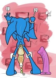 anal_beads anthro bodily_fluids bondage bound cum eulipotyphlan foxnoctom genital_fluids genitals hedgehog hi_res male mammal mobian_(species) penetration penis sega sex_toy solo sonic_(series) sonic_the_hedgehog sonic_the_hedgehog_(series) urethral urethral_bulge urethral_penetration