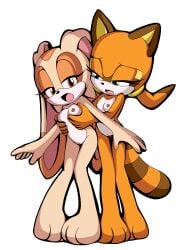 cream_the_rabbit j_nsfw marine_the_raccoon sonic_(series)