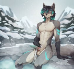 2026 abs anthro balls biped canid canine claws countershade_torso countershading digital_drawing_(artwork) digital_media_(artwork) erection fingers front_view fur genitals hair looking_at_viewer male mammal mergremil navel nude nude_anthro nude_male outside penis sitting smile snow snowing solo tail teeth winter