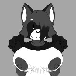 1:1 aidantheredpanda anthro big_breasts black_body black_fur breasts exposed_breasts female flashing flashing_breasts fur hi_res luna_the_raccoon mammal monochrome nipples procyonid raccoon solo