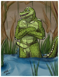 2012 anthro balls crocodile erection furry male male_only mike_(artist) no_humans penis reptile scalie solo