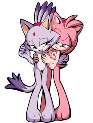 amy_rose blaze_the_cat j_nsfw sonic_(series)