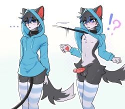 5_fingers anthro balls before_and_after black_collar black_leash blue_clothing blue_eyes blue_hoodie blue_topwear blush bottomless cel_shading chest_tuft clothed clothing collar colored digital_drawing_(artwork) digital_media_(artwork) domestic_cat erection eyelashes felid feline felis femboy fingers fur genitals grey_body grey_fur hair hoodie leash leashed_collar male mammal mikosi navel penile_spines penis shaded shocked short_hair simple_background slim solo tail topwear tuft white_background