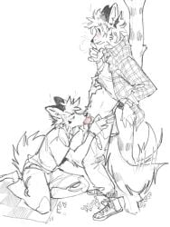 anthro bedding blanket blush bodily_fluids bottomwear canid canine clothed clothing clothing_lift duo erection fellatio fox grass hi_res kneeling looking_away male male/male mammal nervous oral outside outside_sex pants penile picnic_blanket plant serpent_x sex shirt shirt_lift tail tail_motion tailwag topwear tree
