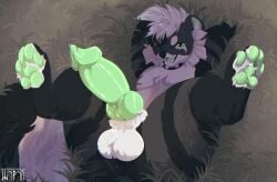 absurd_res anthro balls big_penis black_body black_fur bodily_fluids collar digital_media_(artwork) erection fluffy_paws fur genital_fluids genitals grass green_eyes green_pawpads green_penis green_tongue hair happy hi_res knot knotted_penis lying male mammal mephitid nude on_back open_mouth pawpads paws penis plant presenting presenting_balls presenting_penis shyryp skunk smile solo spiked_collar spikes spread_legs spreading stripes tongue white_body white_fur white_hair