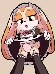 cream_the_rabbit j_nsfw sonic_(series) tagme